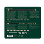 Estuche de metal Pitt Graphite Matt y Castell 9000 x20