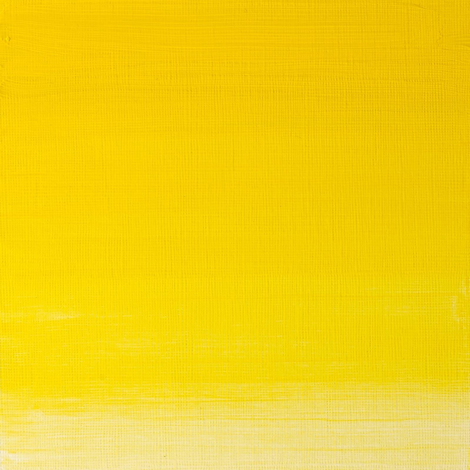 Oleo Artist Winsor & Newton 37ml - Varios Colores Marron Transparente