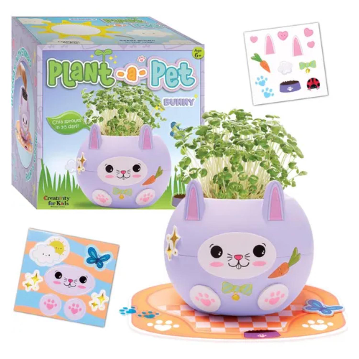 Maceta Chía Creativity for Kids Planta Una Mascota Conejito